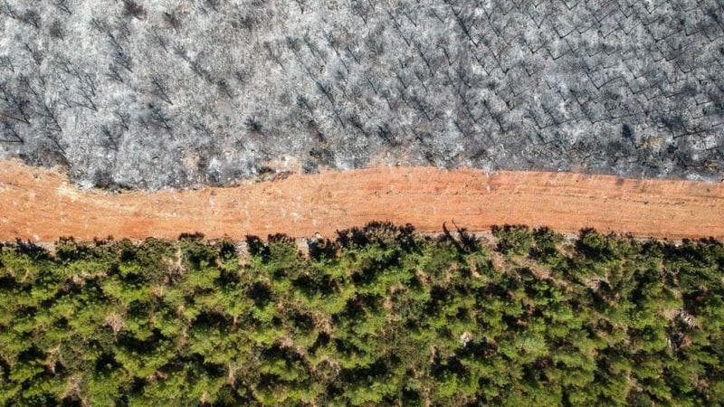 cambio climático