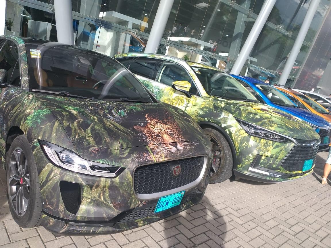 carros eléctricos