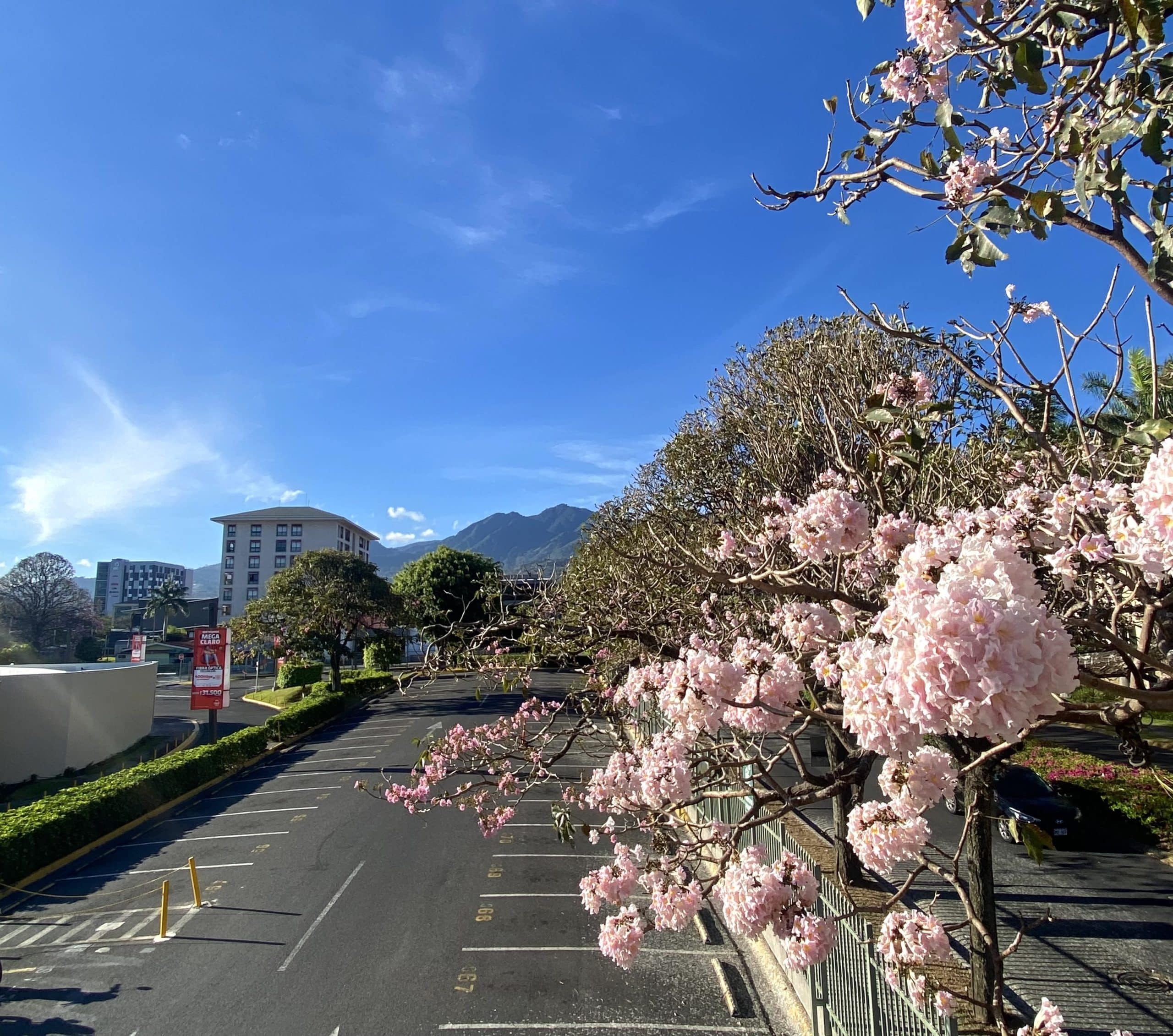 clima día soleado pocas nubes IMN